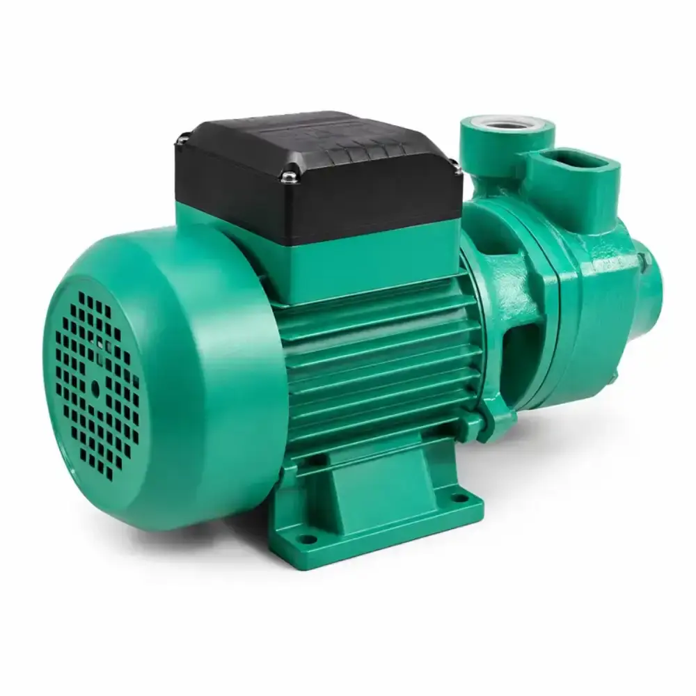 Bomba d`agua Periferica 0,5 CV BE60 Bivolt WDM — fotografia 3