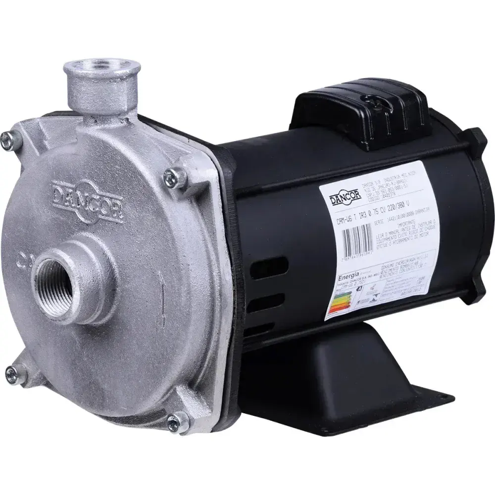 Bomba centrífuga cam W-6 0,75CV Dancor — fotografia 8