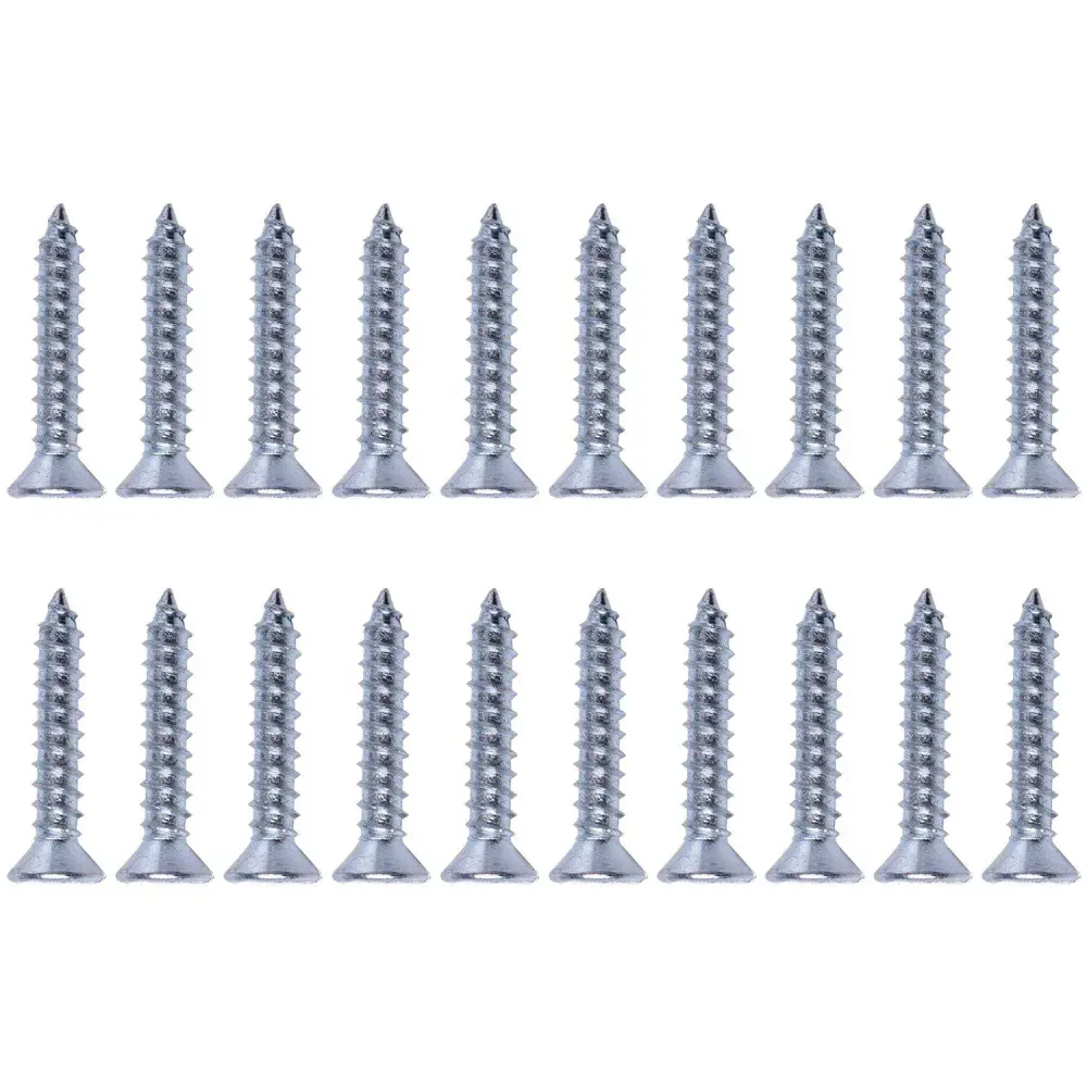 Parafuso cabeça chata zincado 2,8X16MM 20 peças Worker — fotografia de referência