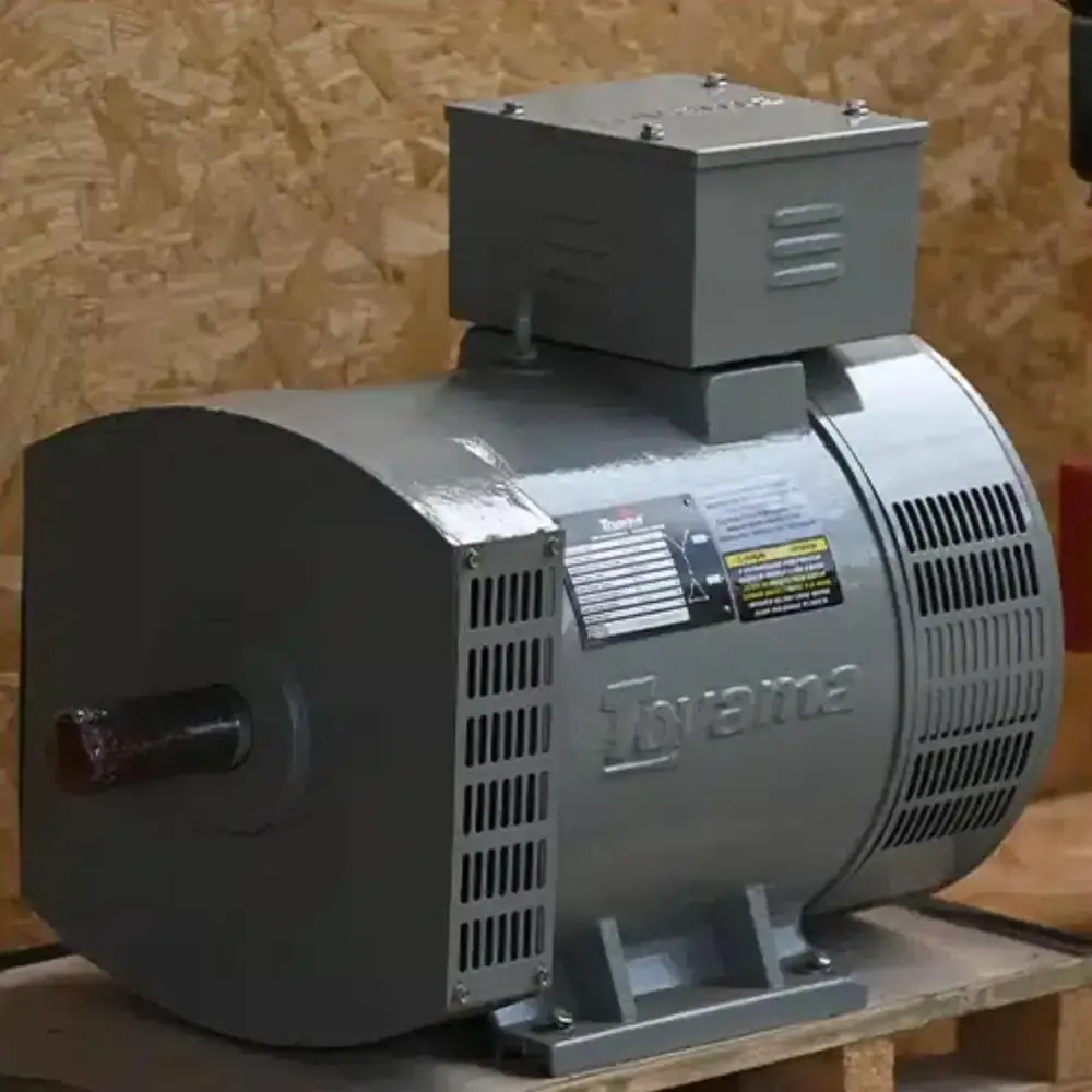 Alternador 21,6 KVA trifásico 220/380V TA20.0CT2-380 4 polos 271-008 Toyama — fotografia 5