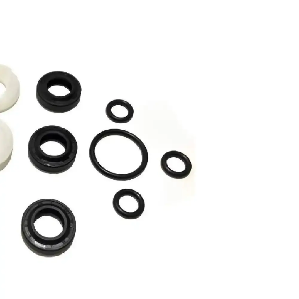 Kit vedação reparo ousada plus 2200 W001583 Wap — fotografia 3