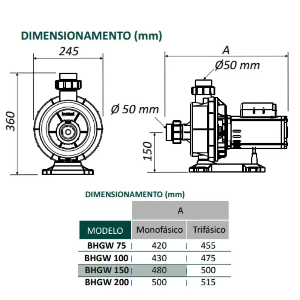 Bomba de hidromassagem 1,5CV BHGW-150 mono Filter — fotografia 3