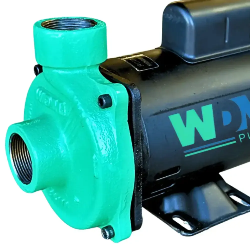 Bomba centrífuga monoestágio WDM EE 1.5 1,5CV monofásica 127V/220V/254V — fotografia 4