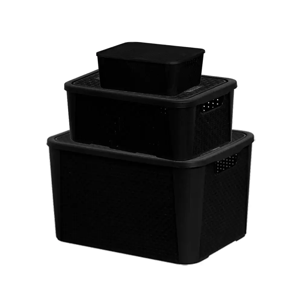 Caixas organizadoras rattan kit 42 8,8 e 5,8 litros Plasnew — fotografia de referência
