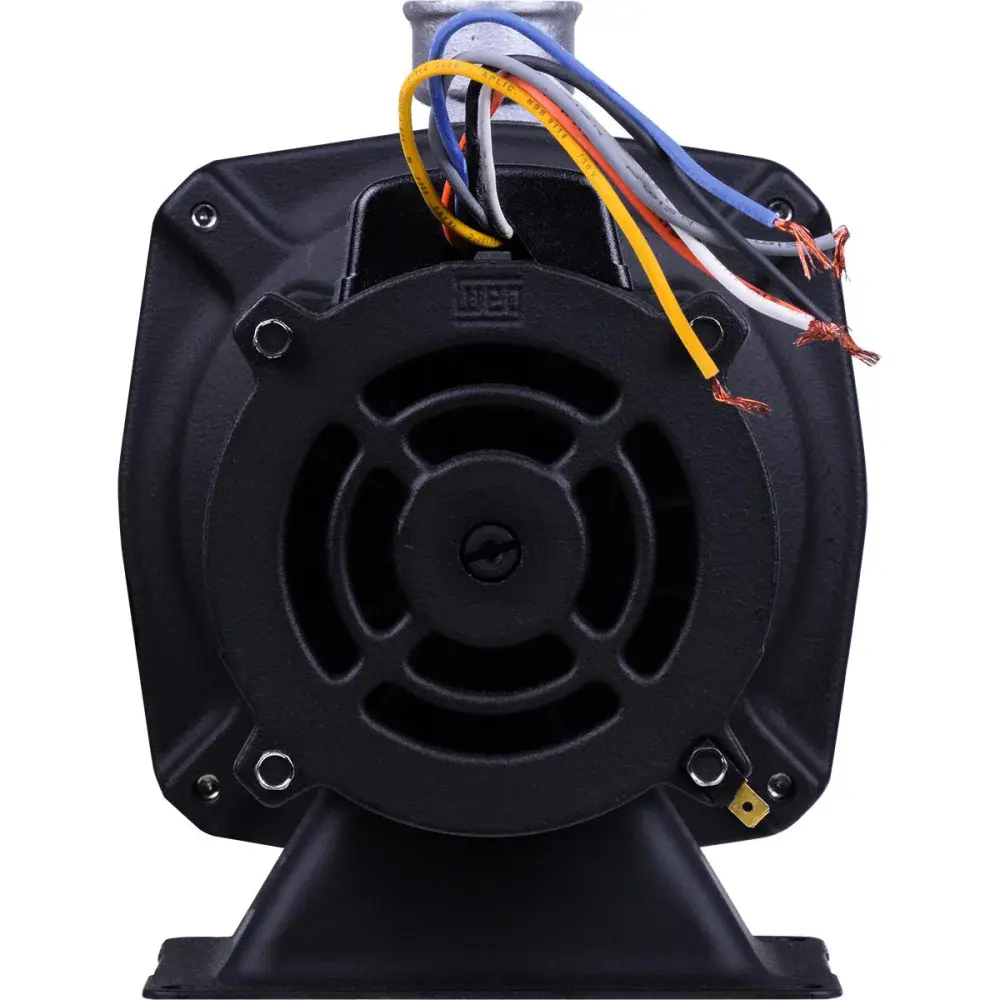 Bomba centrífuga cam W-6 0,75CV Dancor — fotografia 5