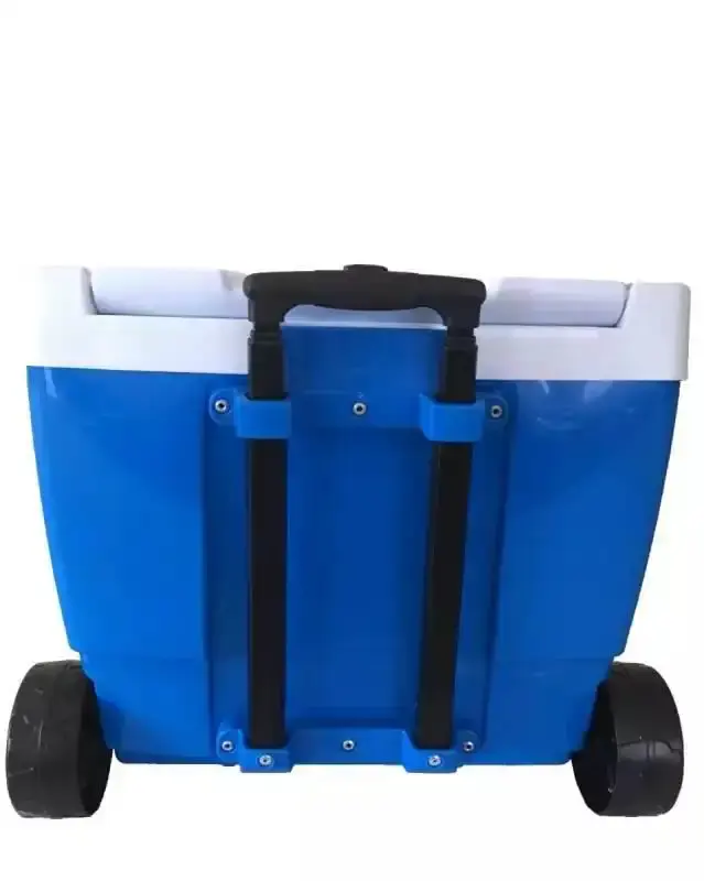Kit caixa térmica 42 litros com rodas + caixa térmica 18 litros Mor — fotografia 5
