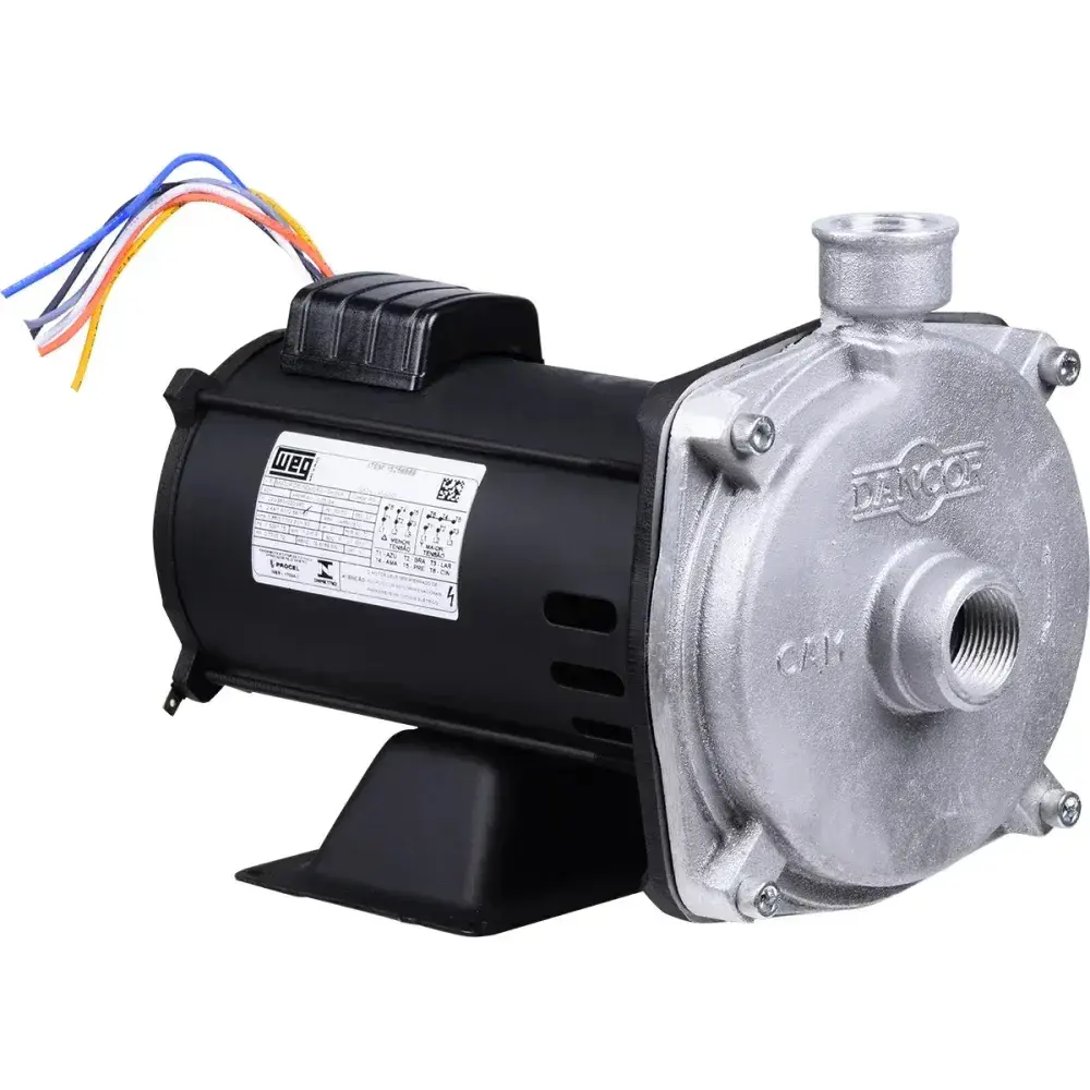 Bomba centrífuga cam W-6 0,75CV Dancor — fotografia 6