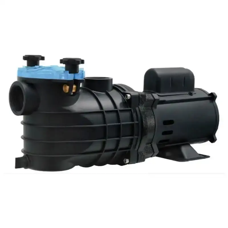 Bomba para piscina 1/3 CV mono 127/220V EKO Schneider Bivolt