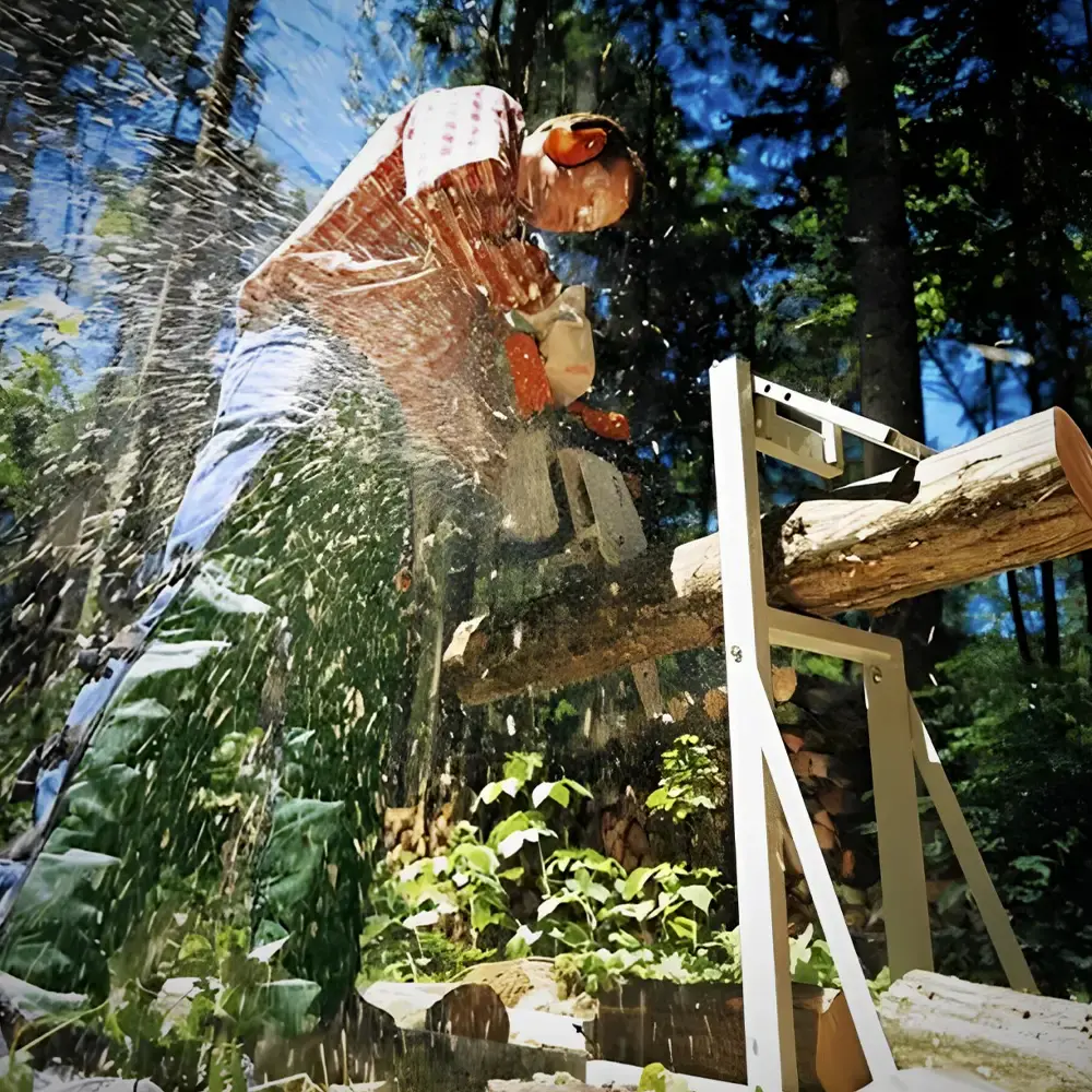 Motosserra combustão a gasolina 30 CC sabre 30 CM MS 162 Stihl — fotografia 5