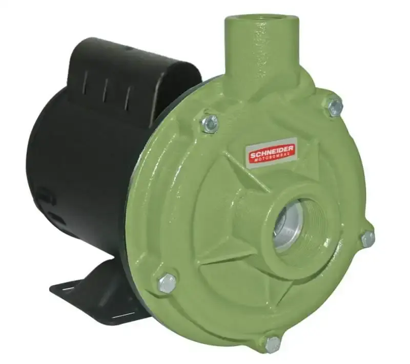 Bomba centrífuga 1.5 CV monofásica 110/220V BC-92S 1B Schneider — fotografia de referência