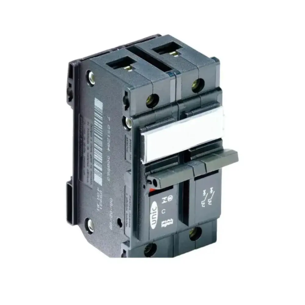 Disjuntor bipolar 60A 220V/380V Pial