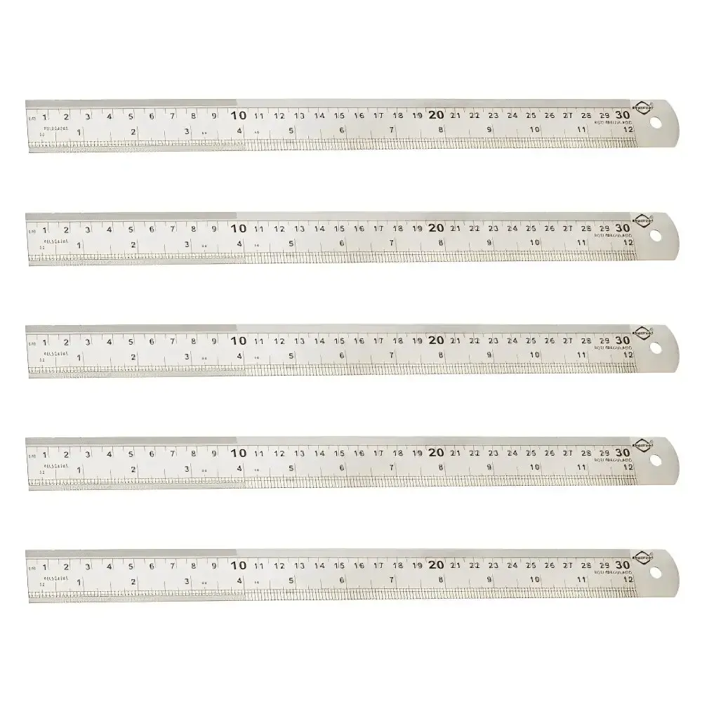 Régua Escala de Aço 30 cm com 5 Unidades 145416 BRASFORT