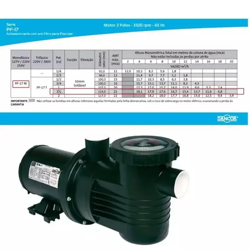 Filtro para piscina DFR-24 com bomba 1.1/2 CV monofásica Dancor — fotografia 3