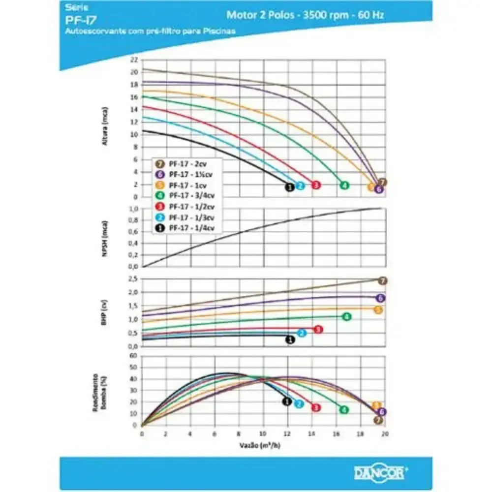 Bomba para piscina, cascata e hidromassagem 1CV monofásica PF-17 Dancor — fotografia 4
