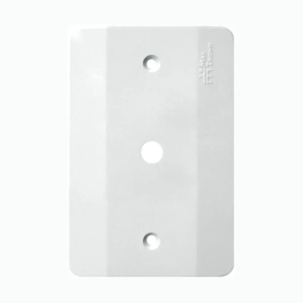Placa 4X2 1 furo branco milleniun Mectronic — fotografia de referência
