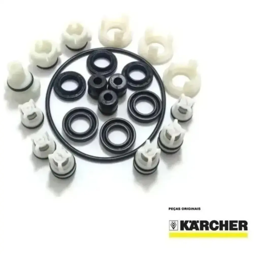 Conjunto reparo da bomba original lavadora kärcher — fotografia 4