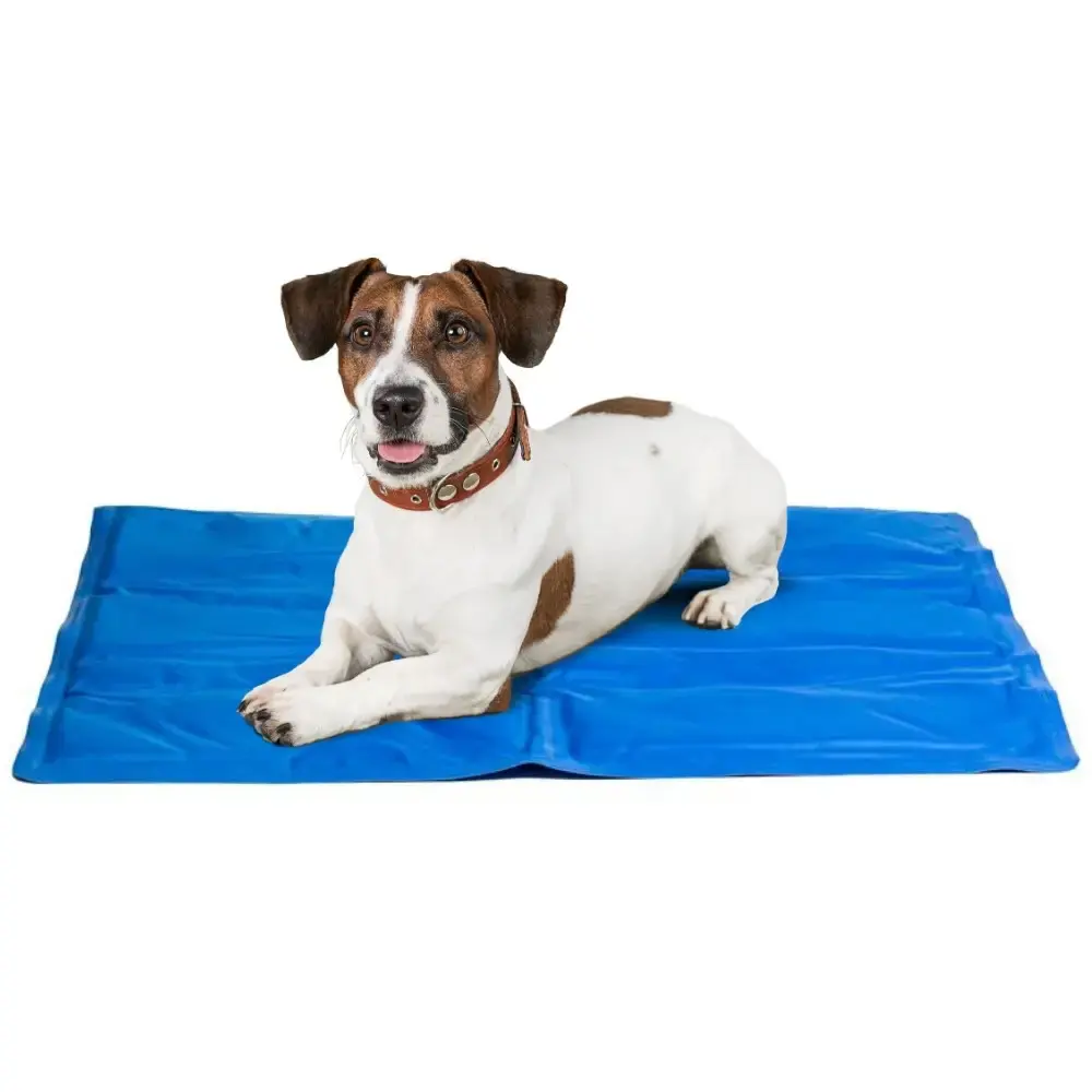 Tapete Colchonete Refrescante 40x50 cm para Pets RG-0181 RINGO — fotografia 5