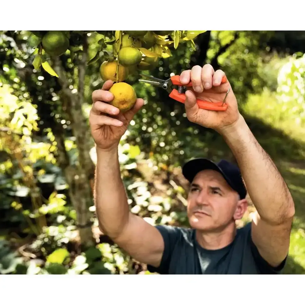 Tesoura profissional para frutas com cabo plástico Tramontina — fotografia 4