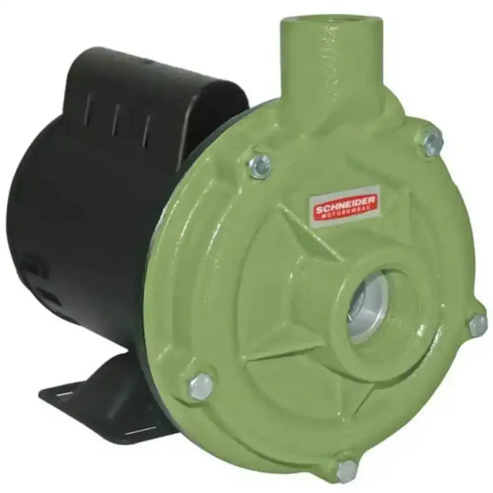 Bomba centrífuga 2.0 CV monofásica 110/220V BC-92S 1B Schneider