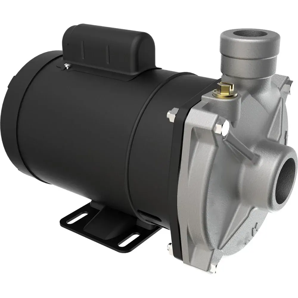 Bomba centrífuga cam W-10 2CV Dancor — fotografia de referência