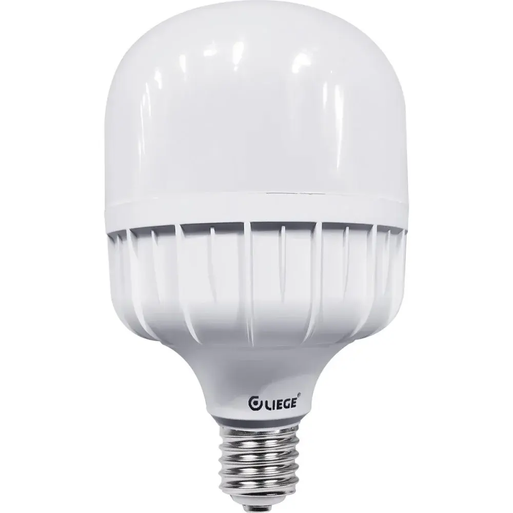 Lâmpada high led E27 30W branca bivolt Liege — fotografia de referência