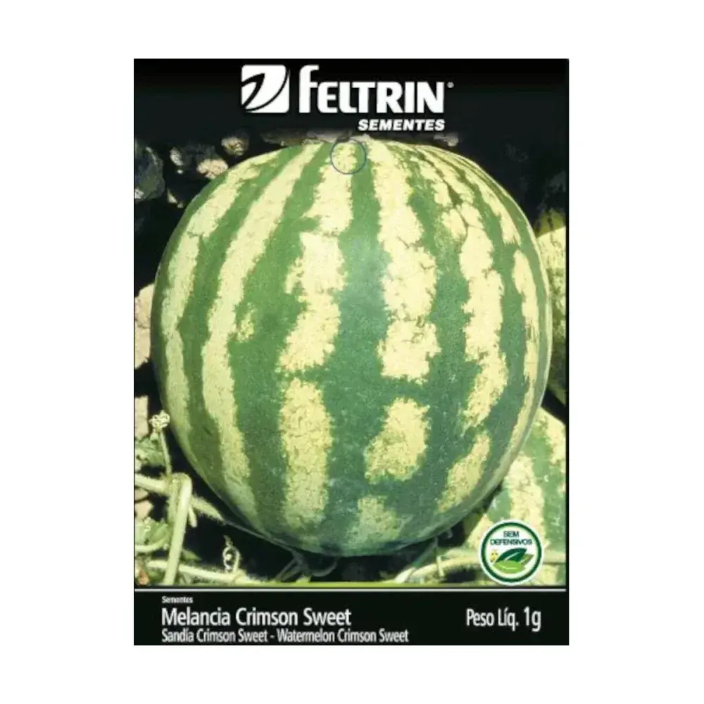 Semente melancia crimson sweet 1G feltrin sementes