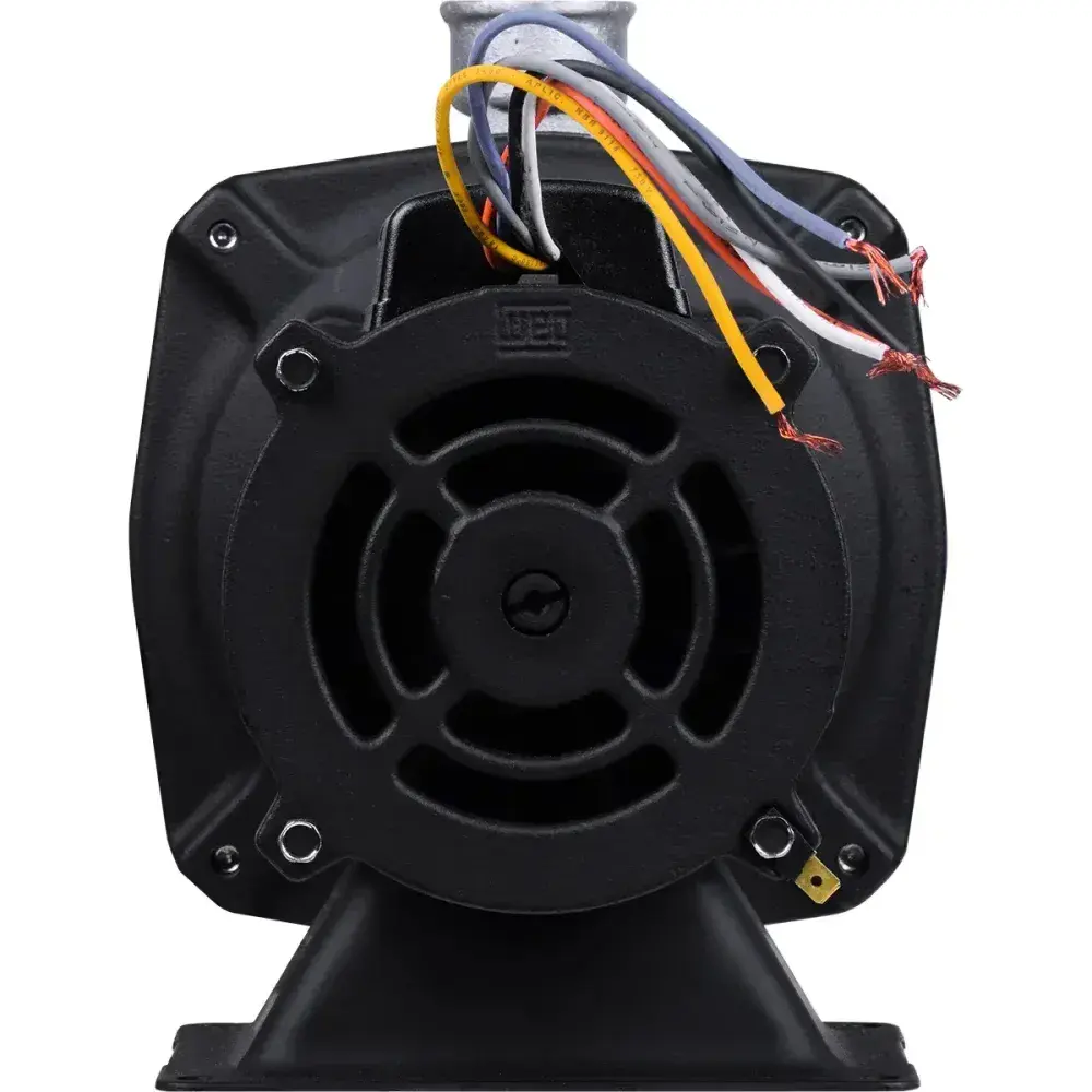 Bomba centrífuga cam W-6 1CV Dancor — fotografia 9