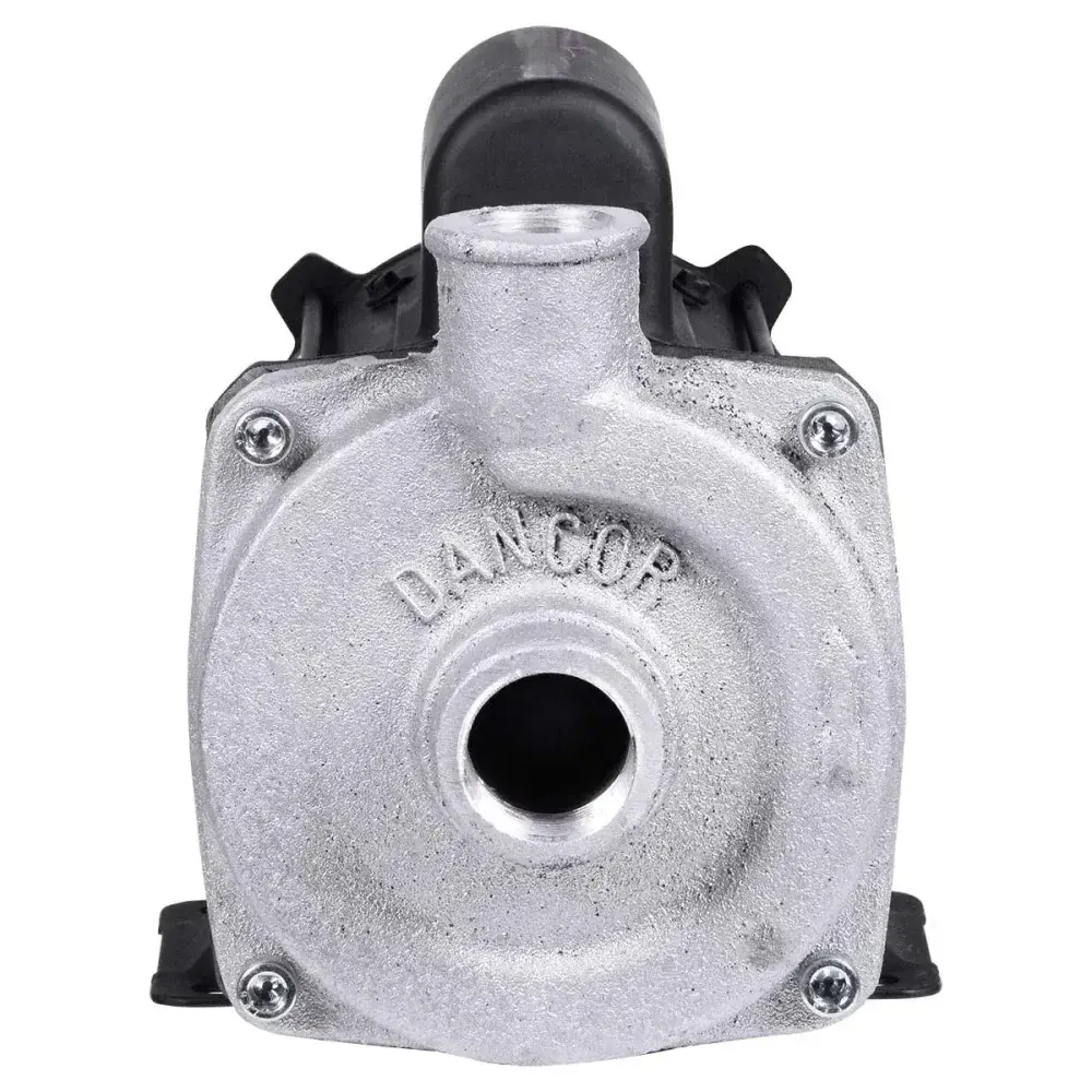 Bomba centrífuga cam W-4 1/4CV Dancor — fotografia 7