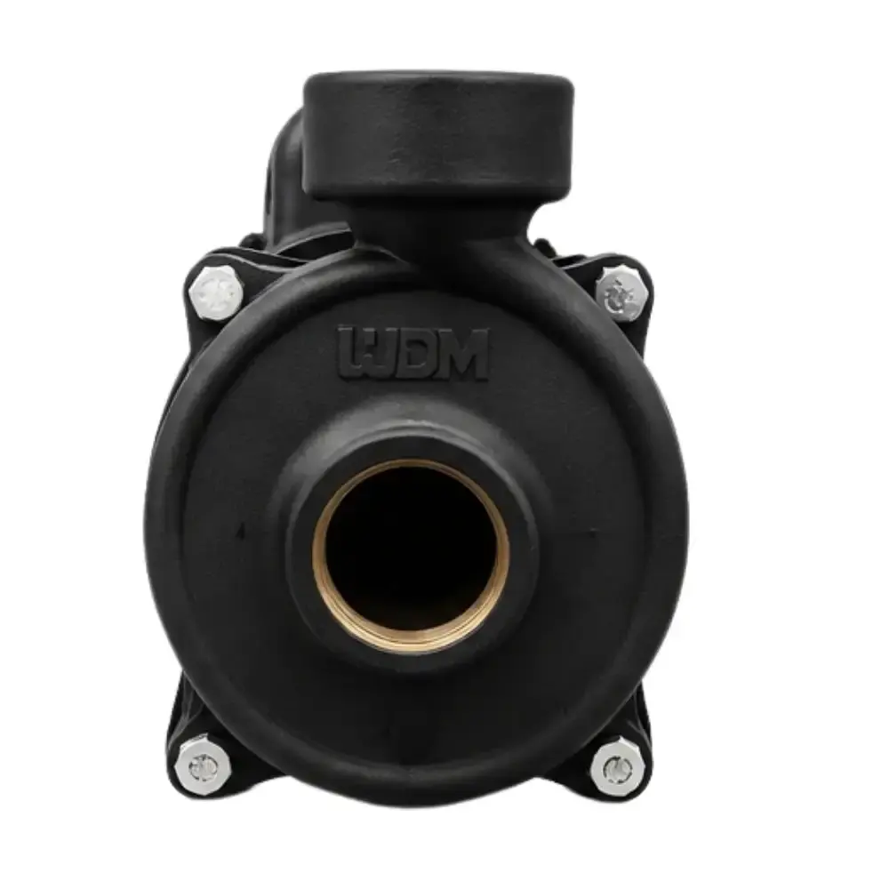 Bomba centrífuga EEP 1.5 1,01 HP monofásica 127-220V 60HZ WDM — fotografia 3