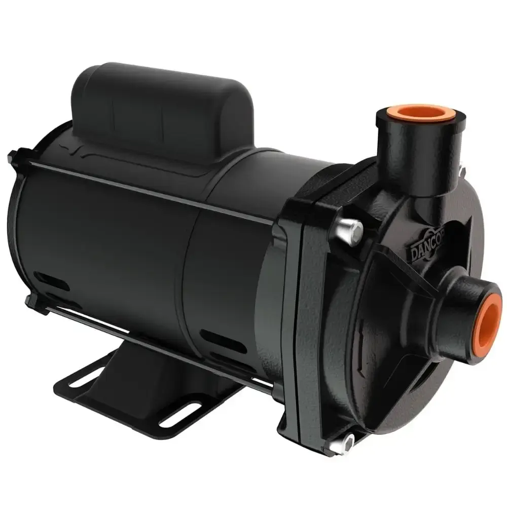 Bomba centrífuga 1/4CV monofásica 110/220V CP4R Dancor — fotografia de referência